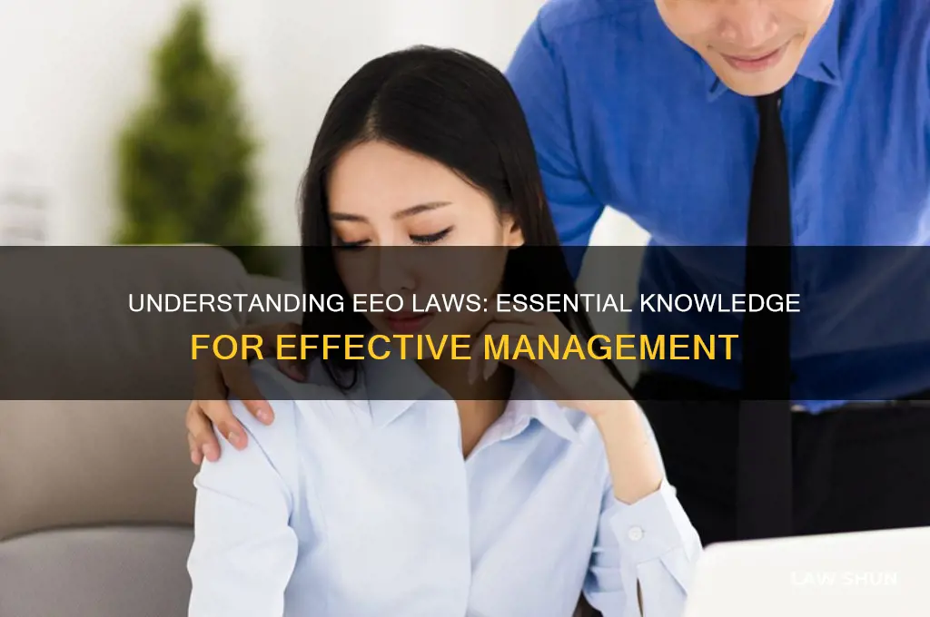 why managers need to understand the eeo laws
