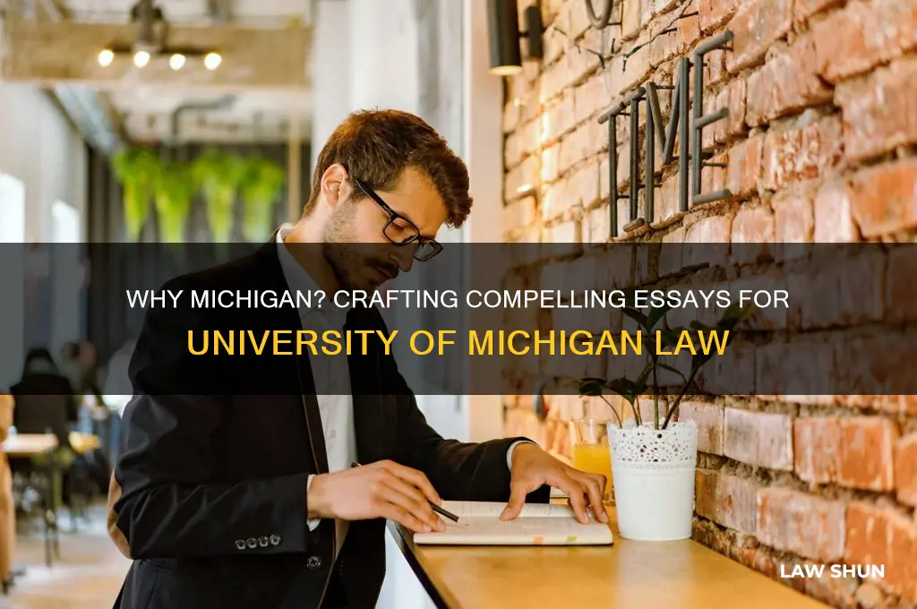 why michigan essays for univeristy of michigan law