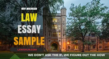 Why Michigan Law Essay Sample: Crafting a Compelling Personal Statement