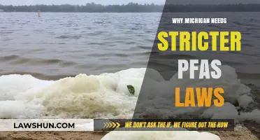 Protecting Michigan's Water: The Urgent Need for Stricter PFAS Laws