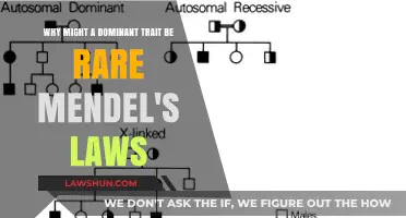 Exploring the Paradox: Why Dominant Traits Can Be Surprisingly Rare