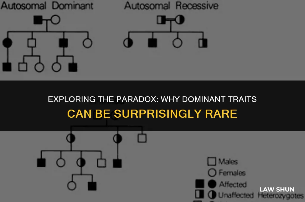 why might a dominant trait be rare mendel