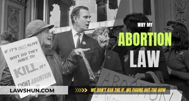 Abortion Law: My Right, My Choice, My Law