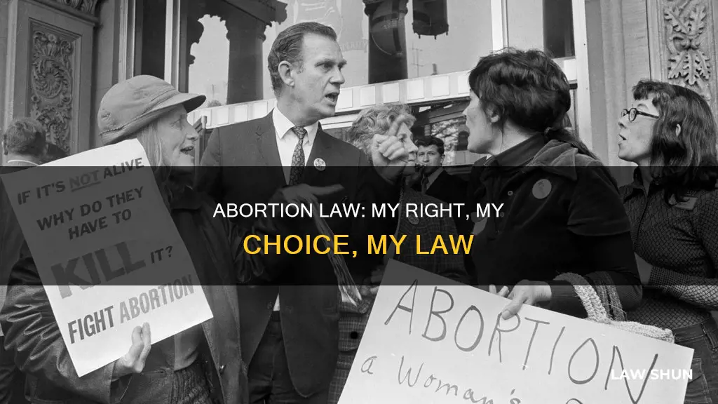 why my abortion law