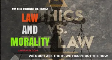 Distinguishing Law and Morality: The Positivist Perspective Explained