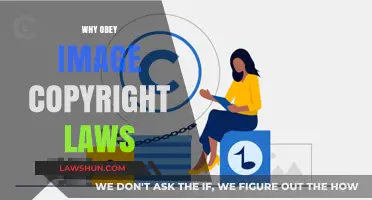 Respecting Image Copyright Laws: Protecting Creativity and Avoiding Legal Pitfalls
