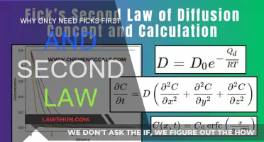 Fick's Laws: The Only Transport Laws You Need