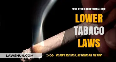 Global Tobacco Laws: Why Some Nations Have More Lenient Regulations