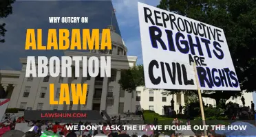 Alabama Abortion Law: Outcry Over Extreme Ban