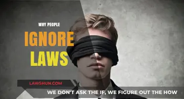 Why Do People Ignore Laws? Exploring the Psychology Behind Non-Compliance