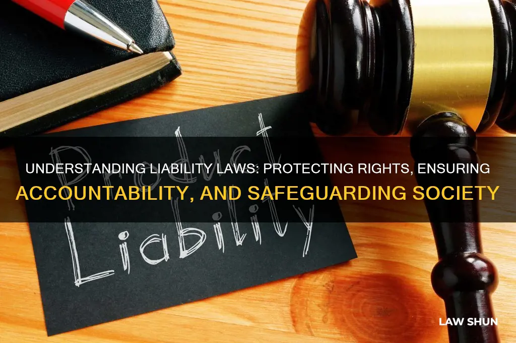 why people need liability laws