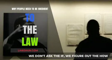 Obeying the Law: Foundation for Order, Justice, and Social Harmony