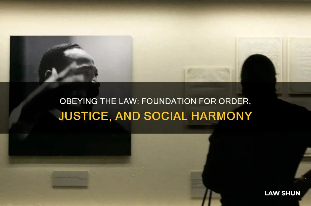 why people need to be obedient to the law
