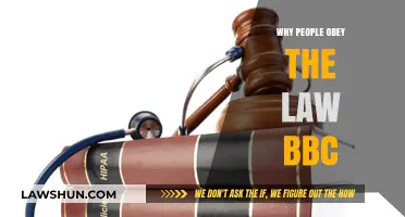 Why Do People Obey the Law? BBC Explores Compliance