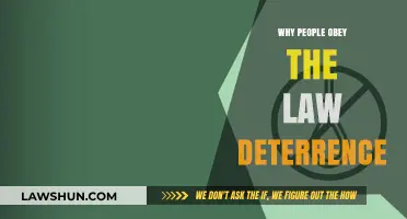 Understanding Deterrence: Why People Obey the Law and Avoid Punishment