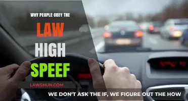 Understanding Compliance: Why People Obey High-Speed Laws and Regulations
