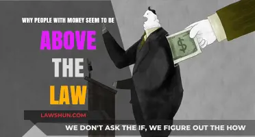 Wealth and Impunity: Why the Rich Often Evade Legal Consequences