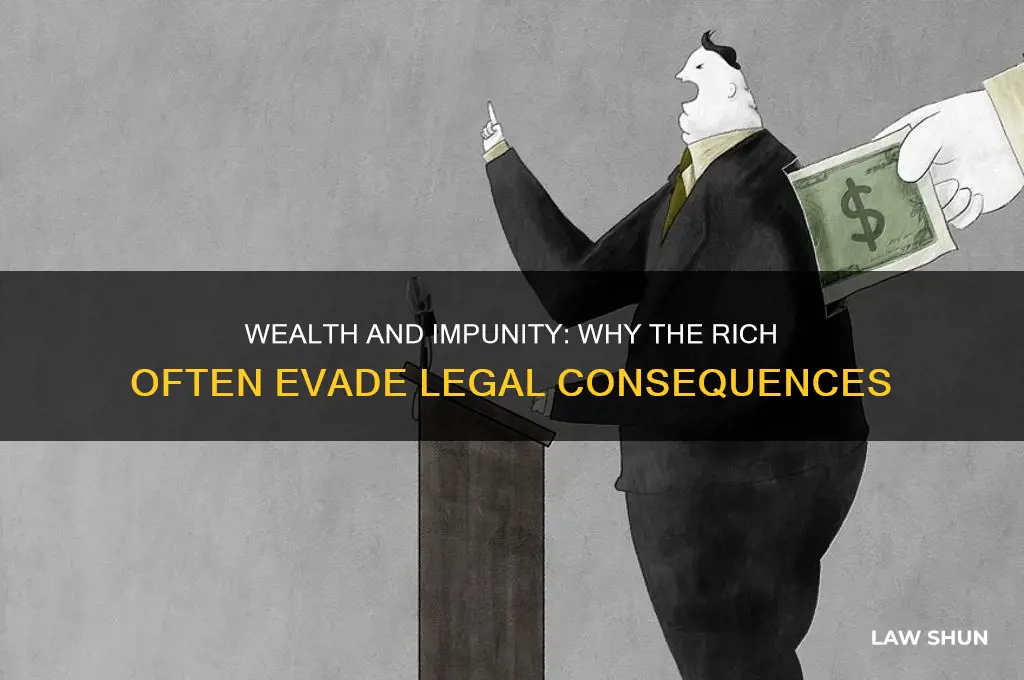 why people with money seem to be above the law