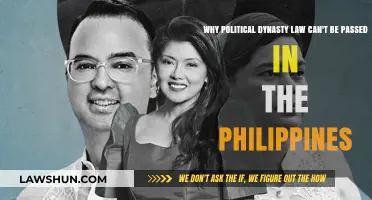 Philippine Political Dynasty Law: Why It's Impossible
