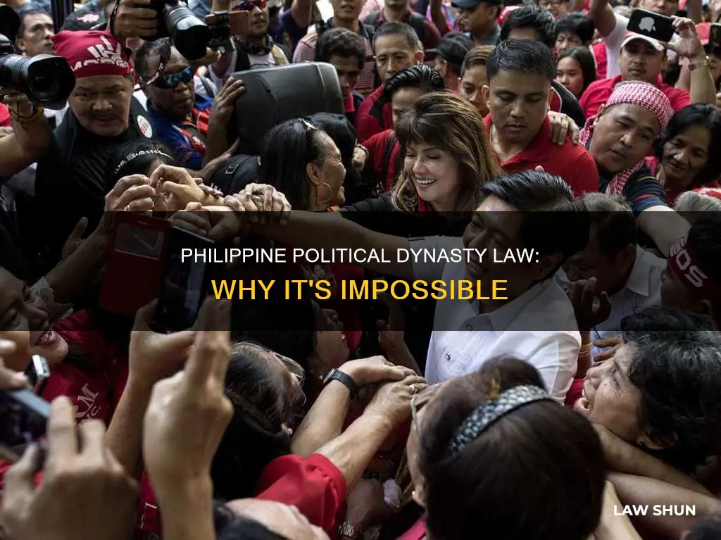 why political dynasty law can