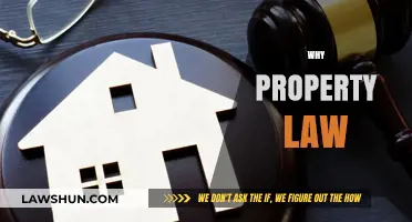 Why Property Law Matters: Understanding Ownership, Rights, and Legal Protections
