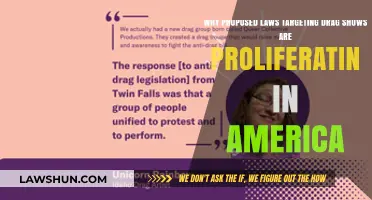 Dragging Democracy: The Alarming Surge of Anti-Drag Legislation in the US