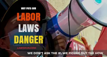 Labor Laws at Risk: Understanding the Threats to Workers' Rights