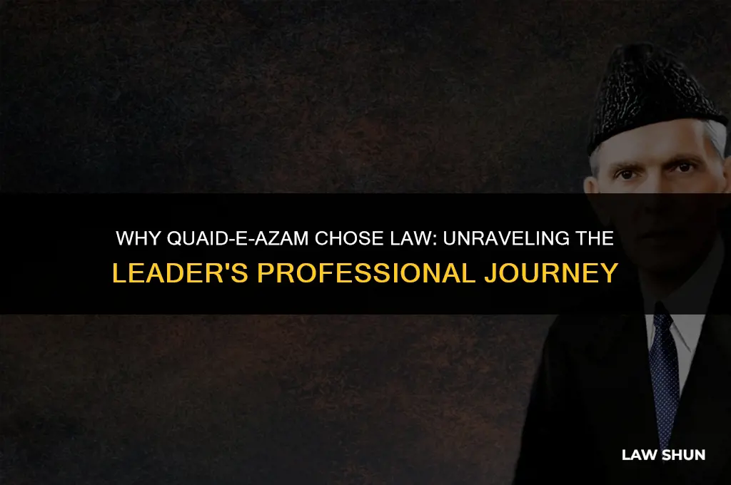 why quaid-e-azam decided to take up law as profession
