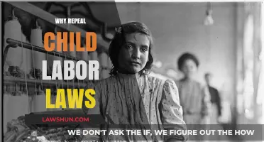 Reevaluating Child Labor Laws: Balancing Protection and Economic Realities