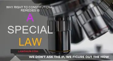 Constitutional Remedies: A Special Right for Citizens