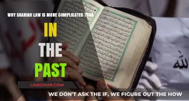 Evolving Interpretations: The Complexity of Modern Sharia Law