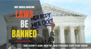 Abortion Laws: Why Banning Them is Immoral and Unjust