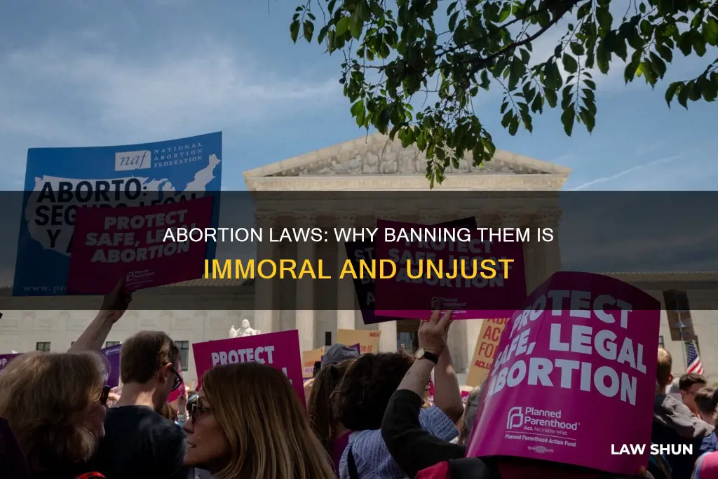 why should abortion laws be banned