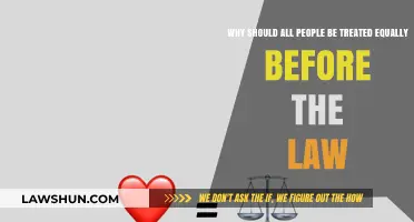 Equal Justice for All: Upholding Fairness and Dignity Under the Law