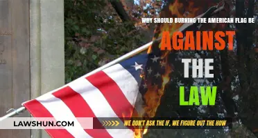 Examining the Legal and Social Implications of Flag Burning