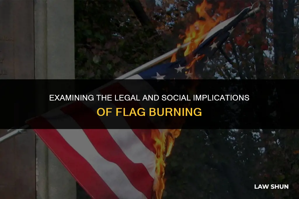 why should burning the american flag be against the law