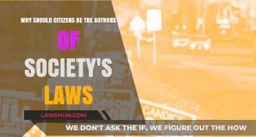Empowering Citizens: The Case for Direct Democracy in Lawmaking