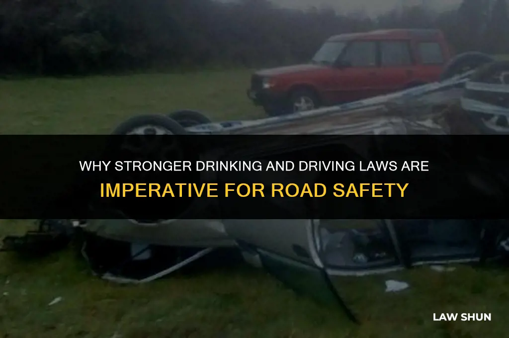why should the law of drinking and driving be stronger