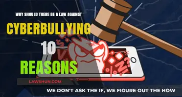 Cyberbullying Legislation: Protecting the Vulnerable in the Digital Age