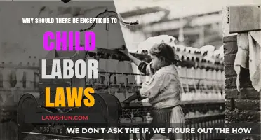 Rethinking Child Labor Laws: Exploring Necessary Exceptions for Special Cases
