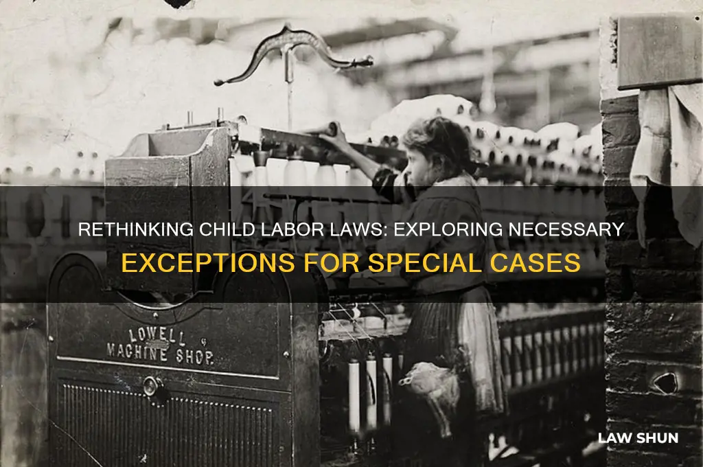 why should there be exceptions to child labor laws