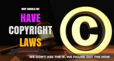 Protecting Creativity: The Essential Role of Copyright Laws in Society