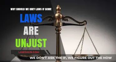 Navigating Justice: The Moral Dilemma of Unjust Laws