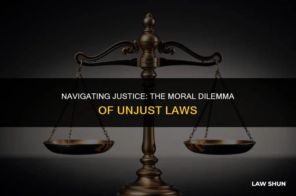 why should we obey laws if some laws are unjust