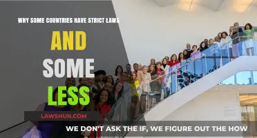 Cultural Norms, History, and Governance: Understanding Global Legal Diversity