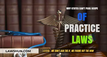 State Scope of Practice Laws: Who Decides?