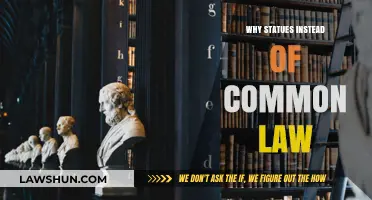 Statutes vs Common Law: Why the Change?