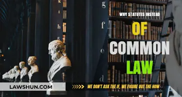 Statutes vs Common Law: Why the Change?