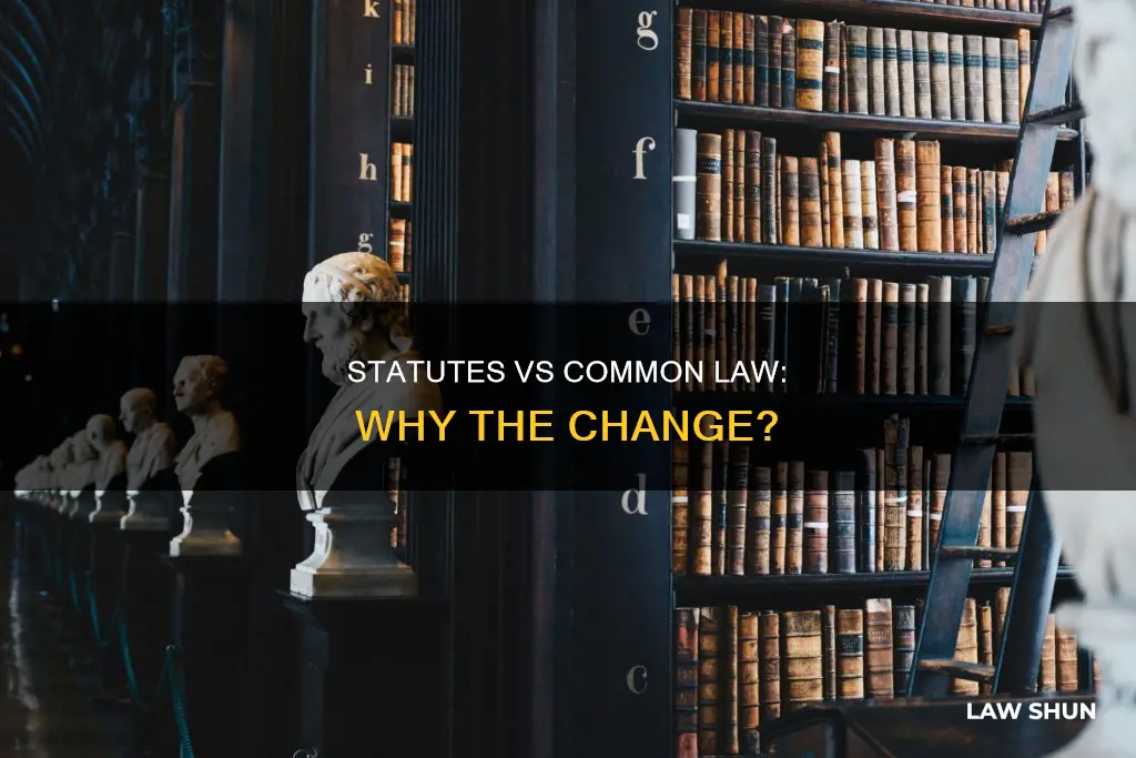 why statutes instead of common law