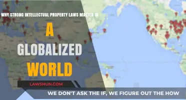 Strong IP Laws: Safeguarding Innovation in a Globalized Economy